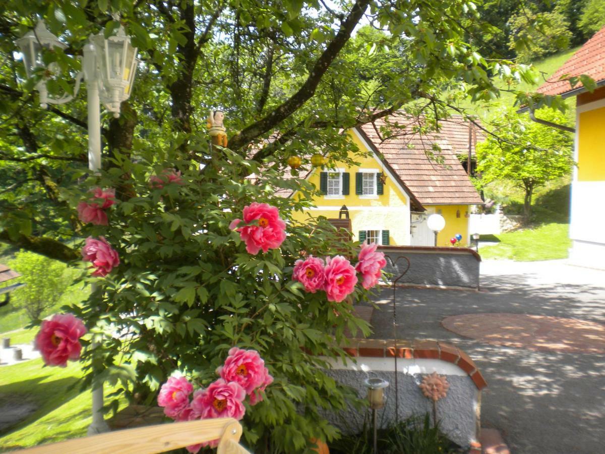 Buchschneider - Ferienhaus Maier - Landhof Schwarzautal المظهر الخارجي الصورة