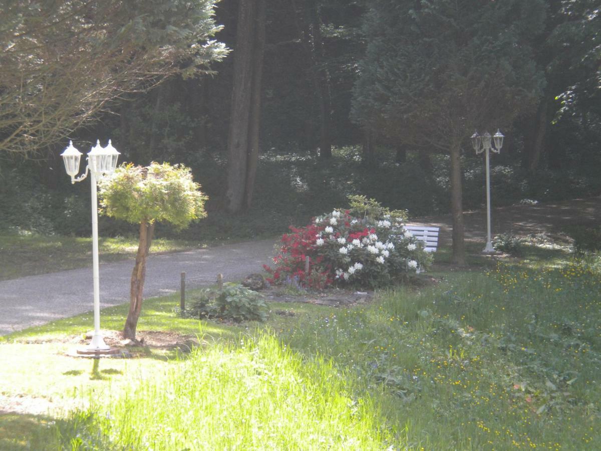 Buchschneider - Ferienhaus Maier - Landhof Schwarzautal المظهر الخارجي الصورة